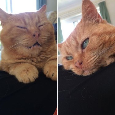 18 Trending Pet Names That Are Both Unique and Adorable