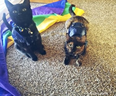 18 Trending Pet Names That Are Both Unique and Adorable