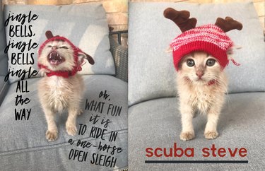 22 Trendy Pet Names Trending on Social Media This Month