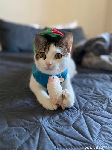 22 Trendy Pet Names Trending on Social Media This Month