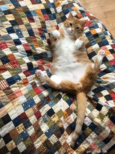 22 Trendy Pet Names Trending on Social Media This Month