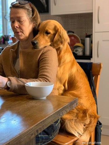 22 Trendy Pet Names Trending on Social Media This Month