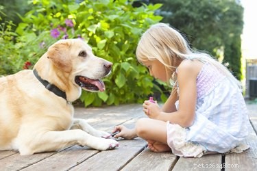 100 Trendy Dog Names Inspired by Nail Polish Hues