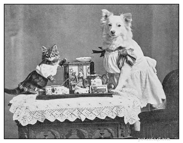 155 Classic Vintage Dog Names for Your New Companion