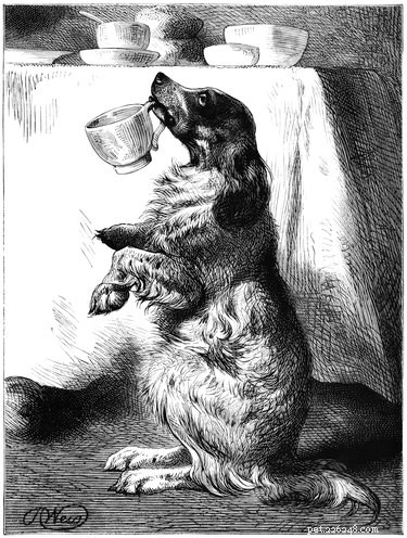 155 Classic Vintage Dog Names for Your New Companion