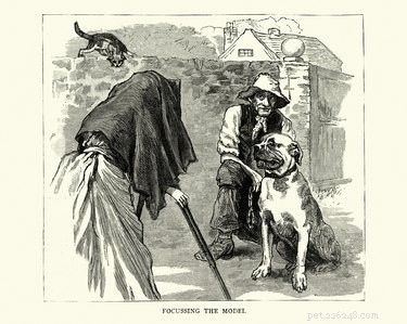 155 Classic Vintage Dog Names for Your New Companion