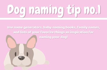 How to Choose the Perfect Name for Your New Dog: A Comprehensive Guide