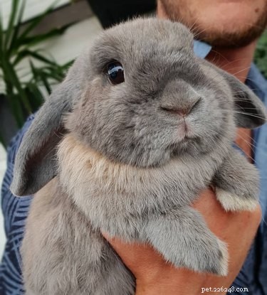 20 Trending Pet Names From Social Media That Will Inspire You