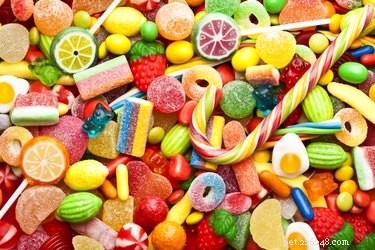 105 Sweet Dog Names Inspired by Popular Candies