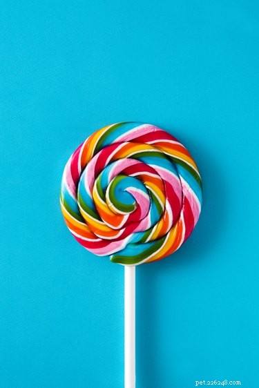 105 Sweet Dog Names Inspired by Popular Candies