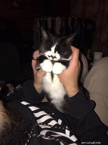 Top 20 Most Creative Pet Names Trending on Social Media This Month