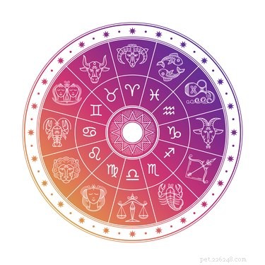 107 Astrology-Inspired Dog Names for Every Pup