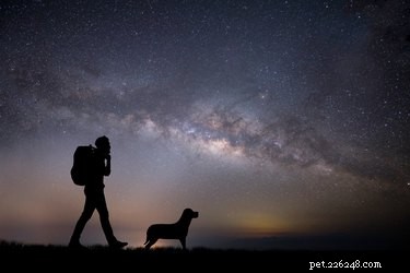 107 Astrology-Inspired Dog Names for Every Pup