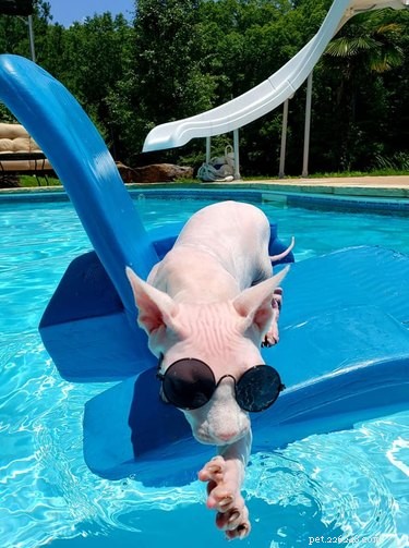 17 Trending Pet Names You’ll Spot on Social Media This Month