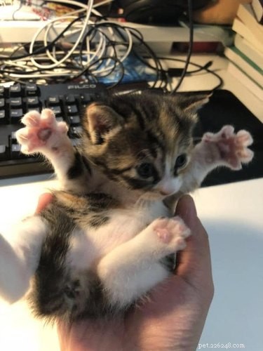 17 Trending Pet Names You’ll Spot on Social Media This Month