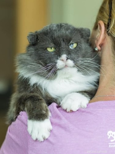 17 Trending Pet Names You’ll Spot on Social Media This Month