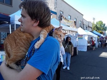 17 Trending Pet Names You’ll Spot on Social Media This Month