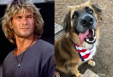 17 Trending Pet Names You’ll Spot on Social Media This Month