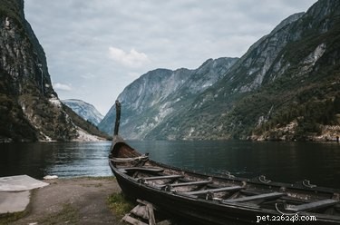 101 Powerful Viking Dog Names for Your Loyal Companion