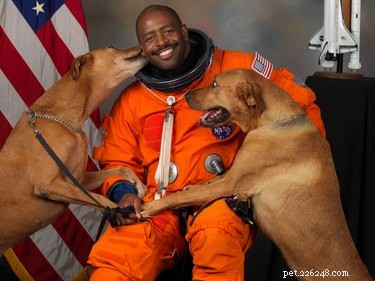144 Celestial Dog Names Inspired by Space History