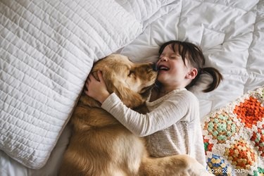 109 Sweet Dog Names to Match Your New Companion s Adorable Personality