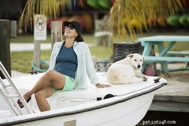 101 Nautical Dog Names: Sail into the Perfect Choice