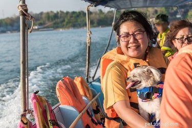 101 Nautical Dog Names: Sail into the Perfect Choice