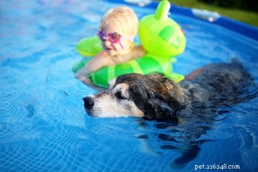 101 Nautical Dog Names: Sail into the Perfect Choice