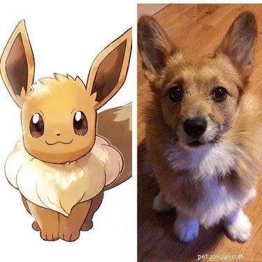 128 Pokémon‑Inspired Names for Your Dog – Unique & Fun