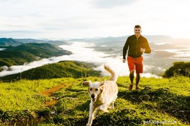 123 Adventurous Dog Names: Choose the Perfect Name for Your Active Companion