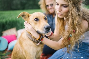 101 Hip & Peaceful Dog Names: Nature, Music & Culture Inspiration