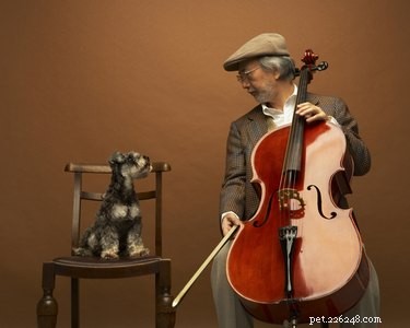 138 Musical Dog Names to Inspire Your Pup’s Identity
