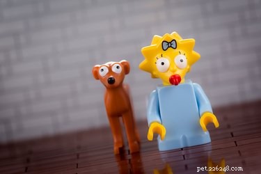 150 Classic & Quirky Simpsons Dog Names for Your Pup