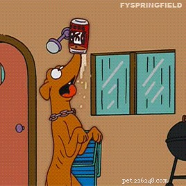 150 Classic & Quirky Simpsons Dog Names for Your Pup