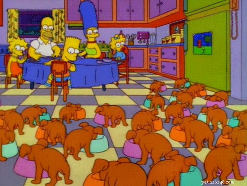 150 Classic & Quirky Simpsons Dog Names for Your Pup