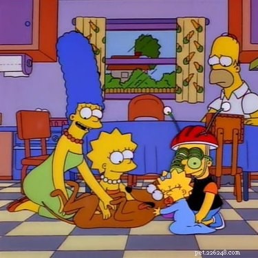 150 Classic & Quirky Simpsons Dog Names for Your Pup