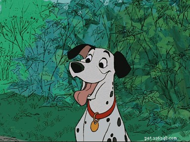 202 Disney‑Inspired Dog Names: Choose the Perfect Name for Your Pup