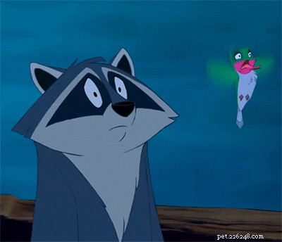 202 Disney‑Inspired Dog Names: Choose the Perfect Name for Your Pup