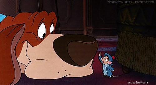 202 Disney‑Inspired Dog Names: Choose the Perfect Name for Your Pup