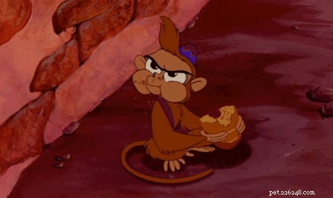 202 Disney‑Inspired Dog Names: Choose the Perfect Name for Your Pup
