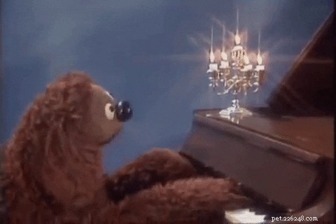 202 Disney‑Inspired Dog Names: Choose the Perfect Name for Your Pup