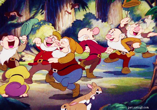 202 Disney‑Inspired Dog Names: Choose the Perfect Name for Your Pup