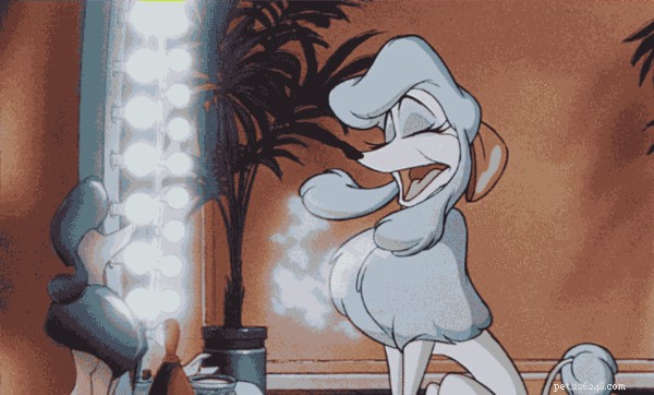 202 Disney‑Inspired Dog Names: Choose the Perfect Name for Your Pup