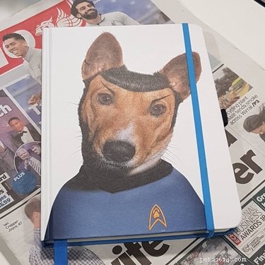 146 Star Trek‑Inspired Dog Names: Classic & Fun Choices for Your Furry Friend