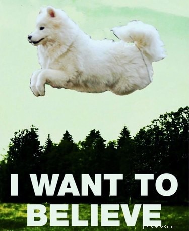 111 Futuristic Dog Names Inspired by Science Fiction