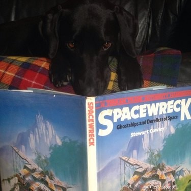 111 Futuristic Dog Names Inspired by Science Fiction