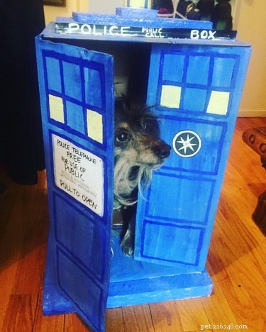 111 Futuristic Dog Names Inspired by Science Fiction