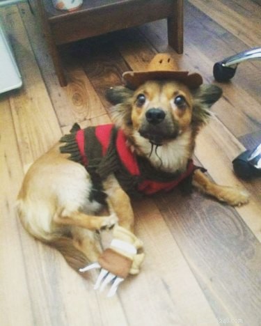 Give Your Dog a Thrilling Twist: 101 Horror Film‑Inspired Names