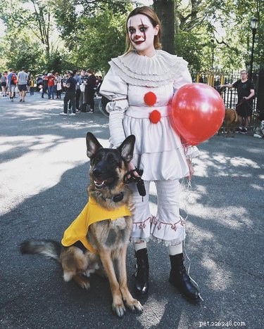 Give Your Dog a Thrilling Twist: 101 Horror Film‑Inspired Names