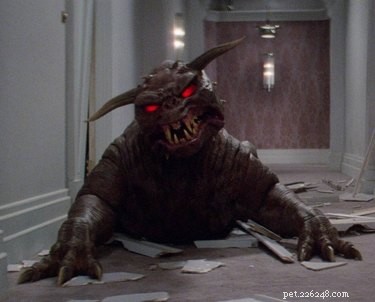 Give Your Dog a Thrilling Twist: 101 Horror Film‑Inspired Names